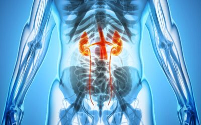 Urology Services Coming to Pipeline