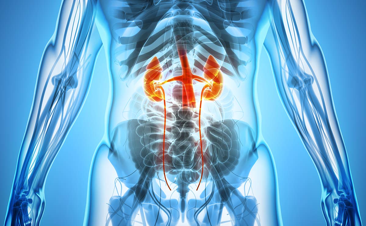 Urology Services Coming to Pipeline